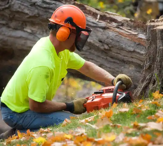 tree services Portsmouth